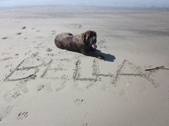 At the beach